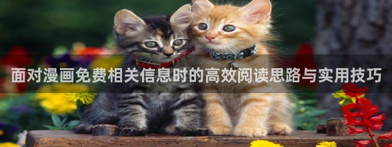 梦漫漫画客户端软件