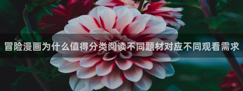 梦漫漫画新作推荐